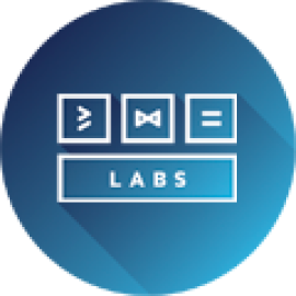 482.Labs