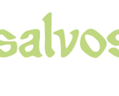 Корпоративный сайт для  компании Salvos