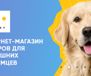 Выход бизнеса в онлайн: магазин товаров для животных