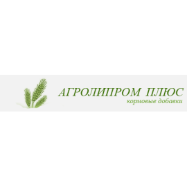 Сайт визитка компании 