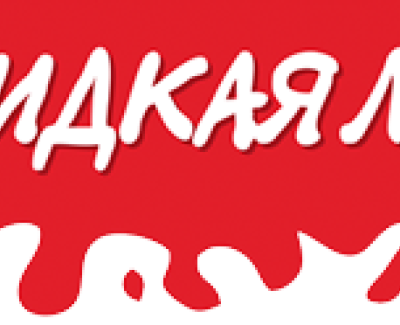 Посадочная страница - Жидкая латка Казахстан