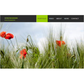 Heinz Baumann Photography MotoCMS-based Website