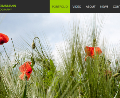 Heinz Baumann Photography MotoCMS-based Website
