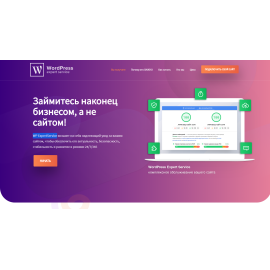 WP ExpertService