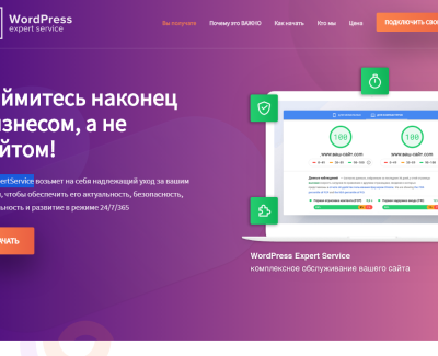 WP ExpertService
