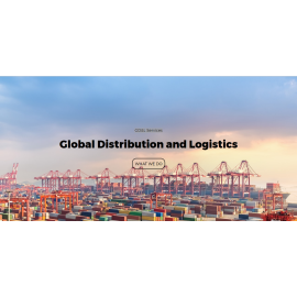GD&L Services