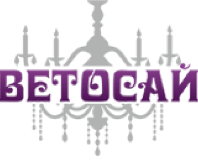Интернет магазина 