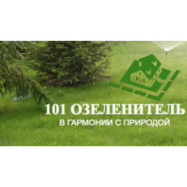 Разработка корпоративного сайта для компании 101ozelenitel