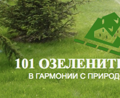 Разработка корпоративного сайта для компании 101ozelenitel