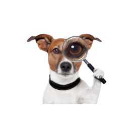 DNpartners