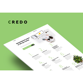 Страница захвата для бухгалтерии Credo