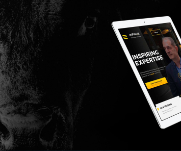 Infinox — дизайн интерфейсов финансового брокера 