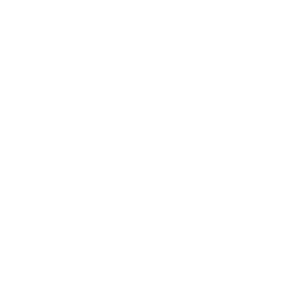 Intuicia