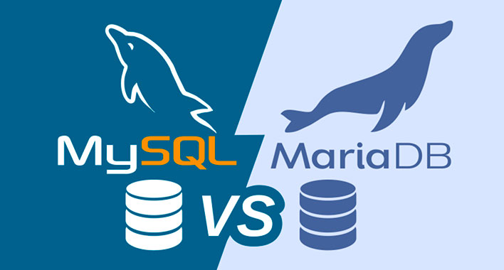 Робота з базами даних: MySQL чи MariaDB для WordPress