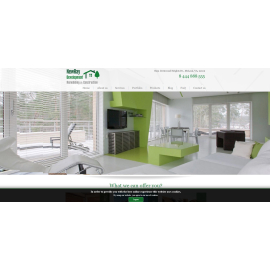 newraydev.com