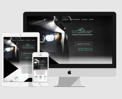 Растаможка автомобилей от Allcar