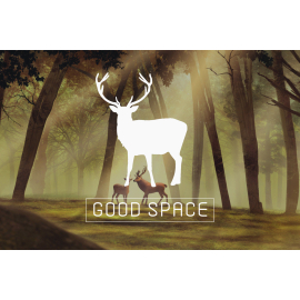 Good Space