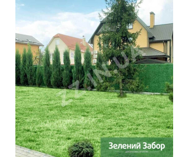 Зеленый Забор