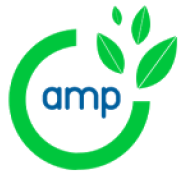 AMP