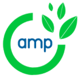 AMP