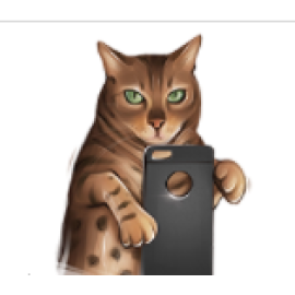 Phone Jacket