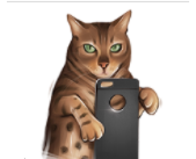 Phone Jacket