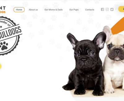 http://vermontfrenchbulldogs.com/