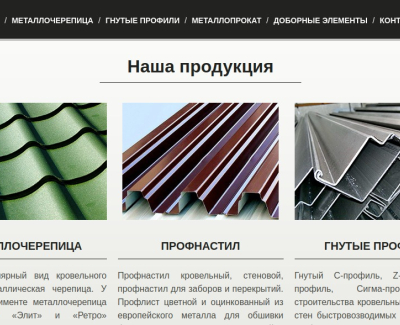 www.profnastil-kiev.com