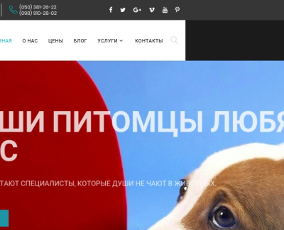 http://www.salon4dogs.kiev.ua/