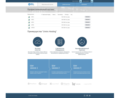 Umirs Hosting