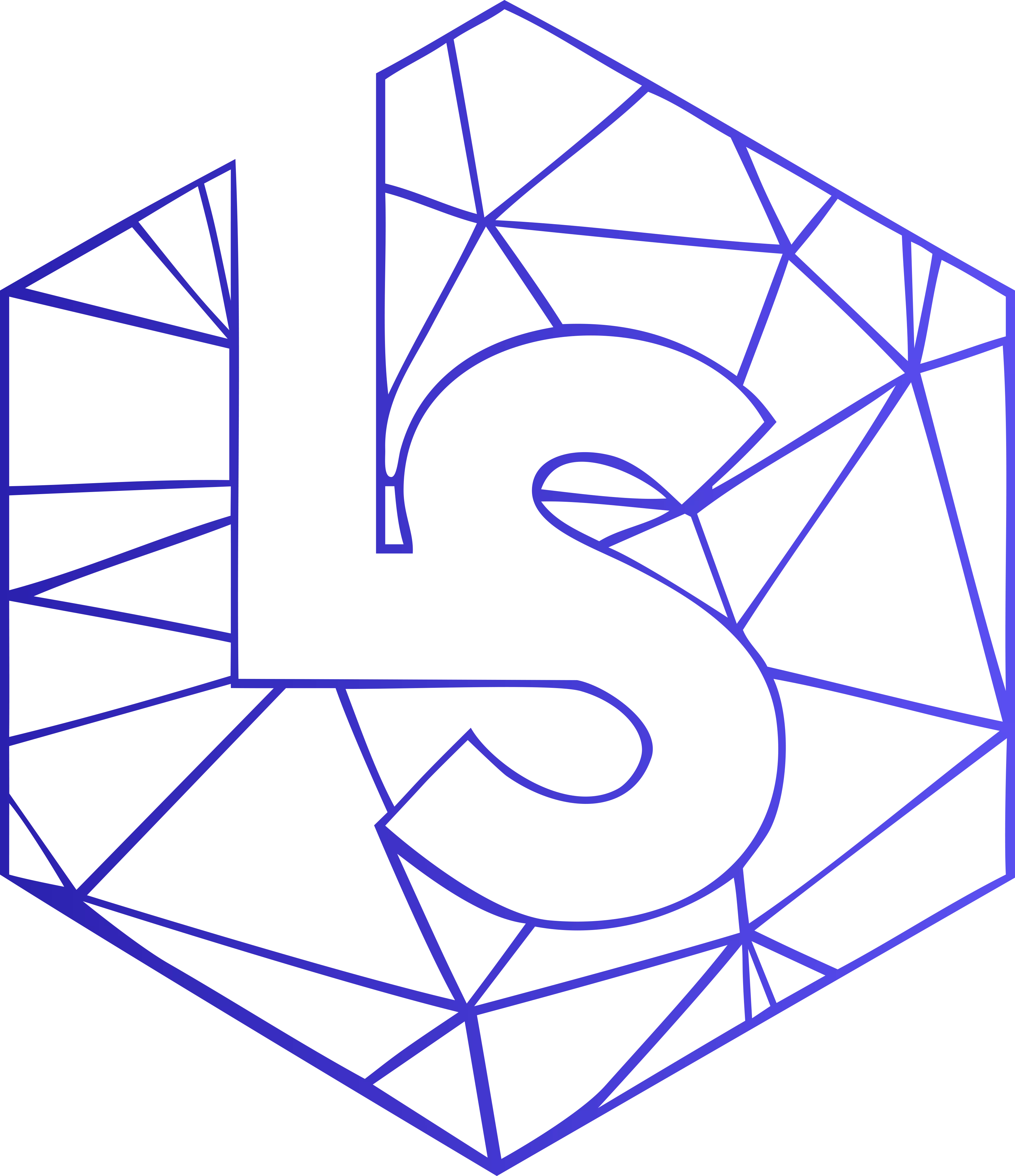 Light Spider logo