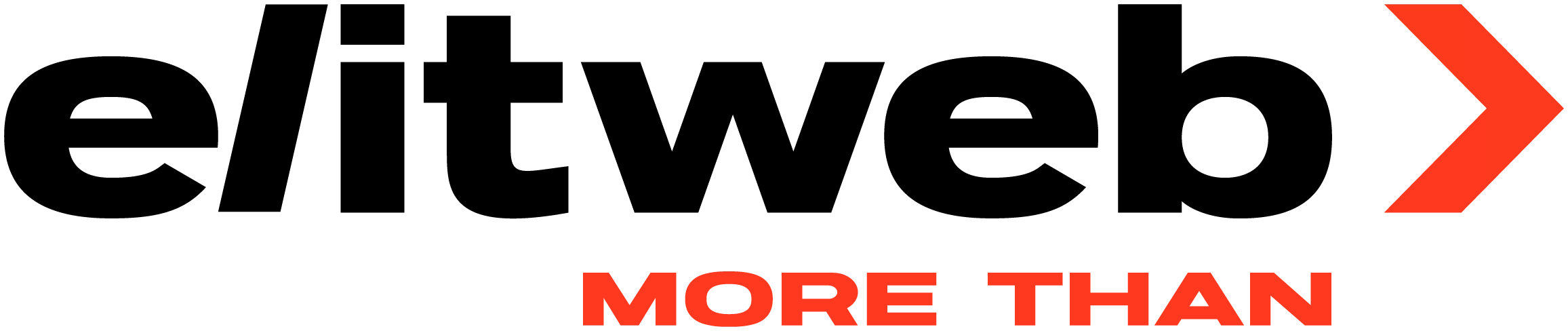 Elit-Web logo