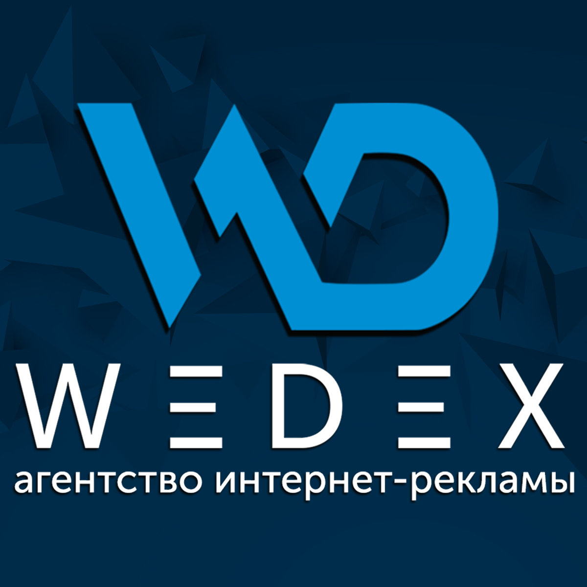 WEDEX logo