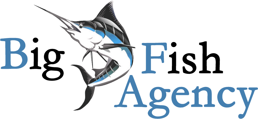 Big Fish Agency  logo