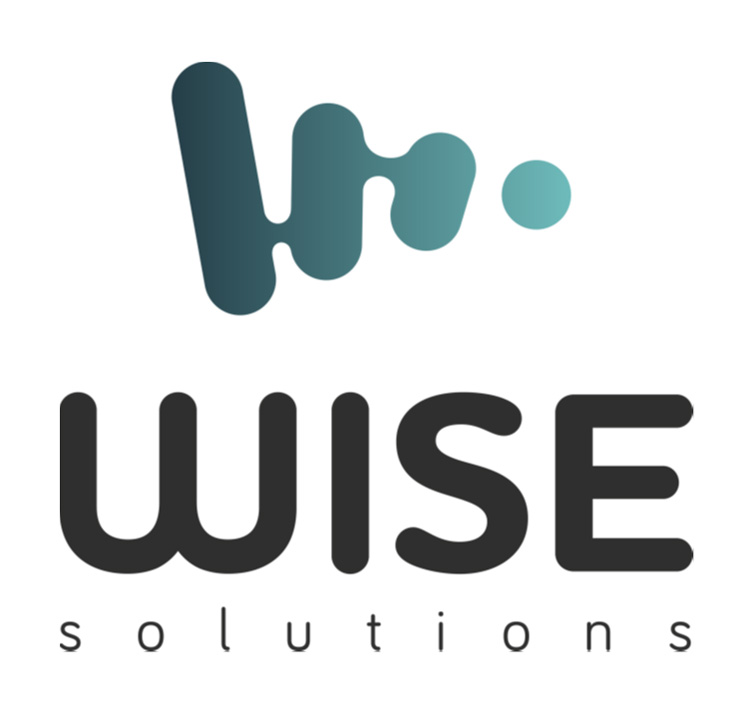 Wise Solutions logo
