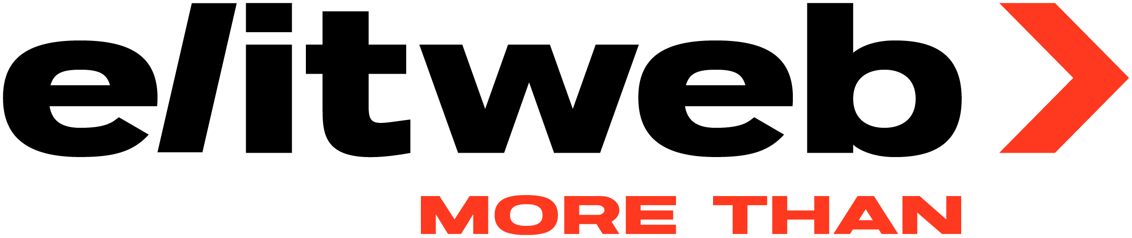 Elit-Web logo